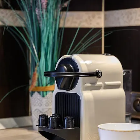 Lägenhet Rent-apart City Center Łódź